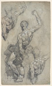 Studies of Michelangelo’s 