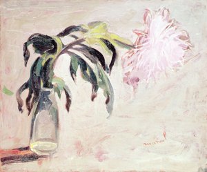 A Chrysanthemum in a Bottle