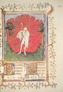 The fool, from the 