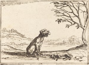 Lioness Mourning Her Cub by Jacques Callot