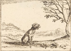 Lioness Mourning Her Cub by Jacques Callot