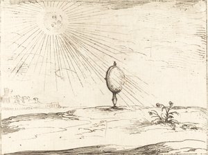 Rays of the Sun
