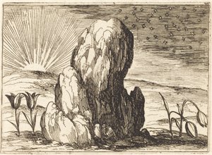 The Tulips and the Sun