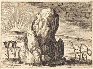 The Tulips and the Sun, 1628