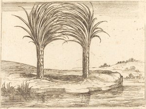 Two Palm Trees