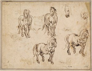 Studies of Horses