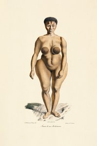 Boschman Race Woman Frontal View by Jacques Christophe Werner