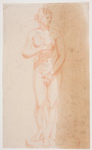 Standing Venus