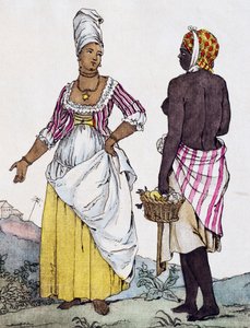 Black Woman and Mulatto Woman of Santo Domingo