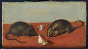 Mice, c.1600 by Jacques II de Gheyn