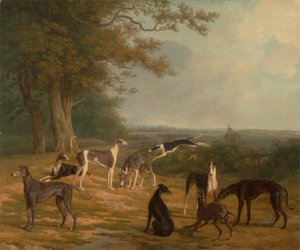 Nine Greyhounds in a Landscape