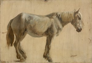 Study of a Grey Horse by Jacques Laurent Agasse