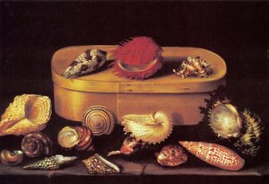 Still Life with Shells