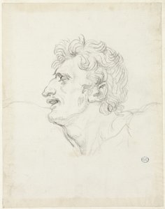 Head of a Man, Left Profile by Jacques Louis David