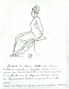 Marie-Antoinette on Her Way to Her Execution