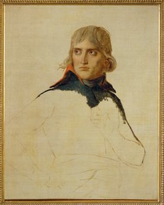 Napoleon Bonaparte by Jacques Louis David