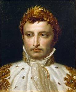 Napoleon I in Coronation Robes by Jacques Louis David