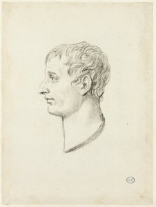 Profile of Napoleon