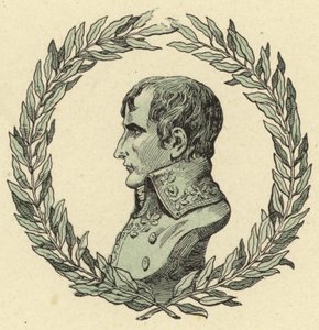 Bust of Napoleon Bonaparte by Jacques Marie Gaston Onfray de Breville (Job)