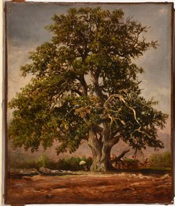 The Old Oak by Jacques Raymond Brascassat