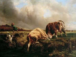 Bullfight