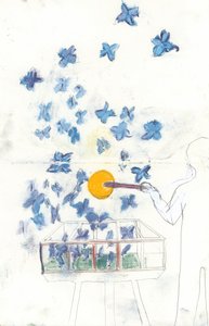 Butterfly Dreams by Jacqui Orly Ammon