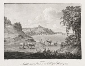 Syrmia, Market and Ruins of Sharengrad Castle
