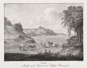 Syrmien, Market and Ruins of the Sharengrad Castle