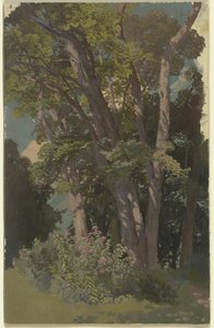 Park Study, Glade by Jakob Becker