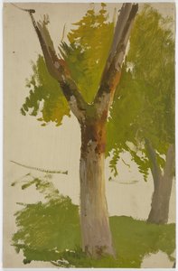 Tree by Jakob Becker