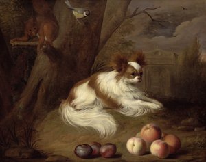 Unknown Image by Jakob Bogdani or Bogdany
