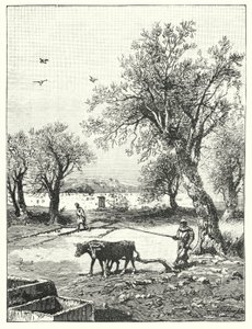 Plowing in a Vineyard by James (after) Clark