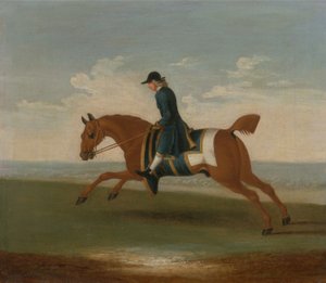 Chestnut Racehorse Exercised by a Trainer in a Blue Coat