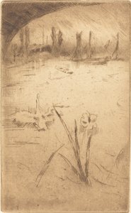Swan and Iris