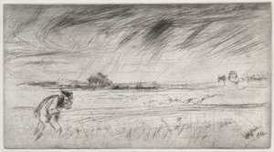 The Storm