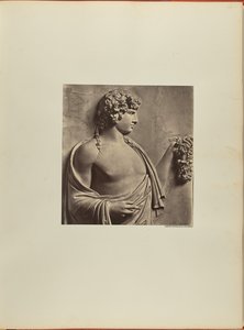 Antinous, Bas-Relief from the Albani Villa by James Anderson