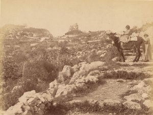 Capri [Child on Mule]