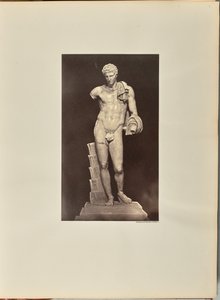 The Antinous of the Belvedere, Vatican by James Anderson