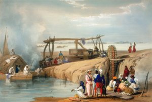 Persian wheel raising water from the Sutlej River, Punjab