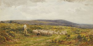 A Herefordshire Common