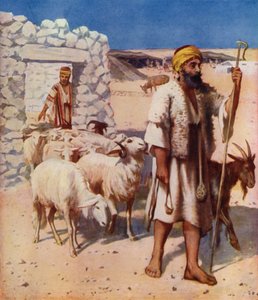 Shepherd and Sheepfold