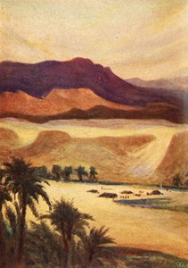 A Palestine Camp at Elim - Heb. xiii. 11 by James Clark and Henry A Harper