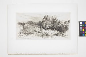 A Fallow Field by James David Smillie