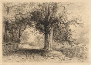 A Farm Lane, Jan. 1887, Opus 2 by James David Smillie