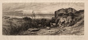 At Marblehead Neck
