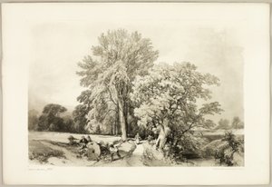 Abele and Oak, from The Park and the Forest by James Duffield Harding