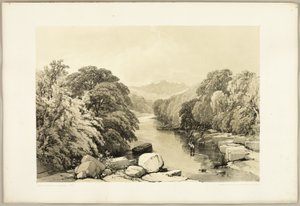 Ash, Sycamore and Oak (from The Park and the Forest) by James Duffield Harding
