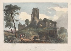 Castle of Ballincolly