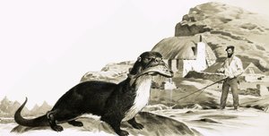 Otter with Fish, and Man Fishing