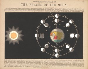 Transparent Diagram of the Phases of the Moon by James & Emslie John (1813 75) Reynolds